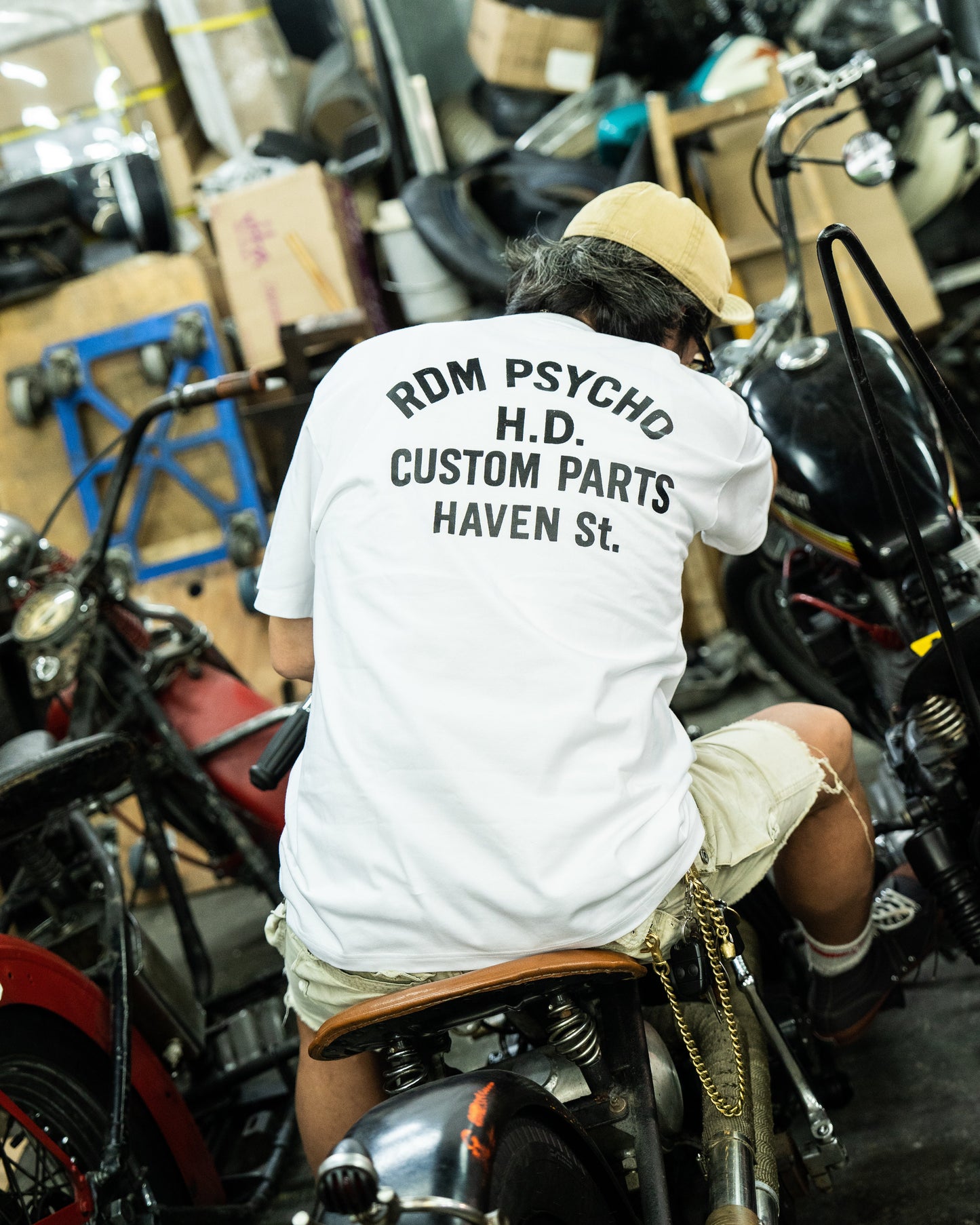 How to Ride RDM / HD Custom